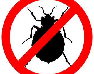 The Benefits of Bio-Pesticides for Bed Bug Control