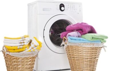 Bed Bug Laundry Services – A Critical Treatment Step