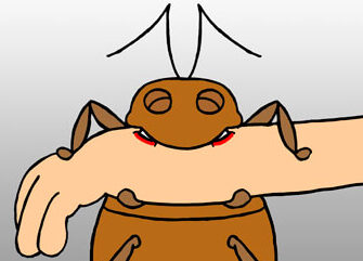 How to Treat Bed Bug Bites